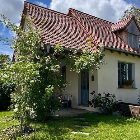 Studio De Charme Avec Terrasse Privee, Jardin Partage Bouxwiller  Exteriör bild